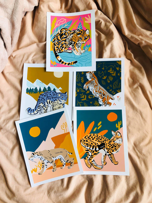 Big cat diaries 8x10 large prints