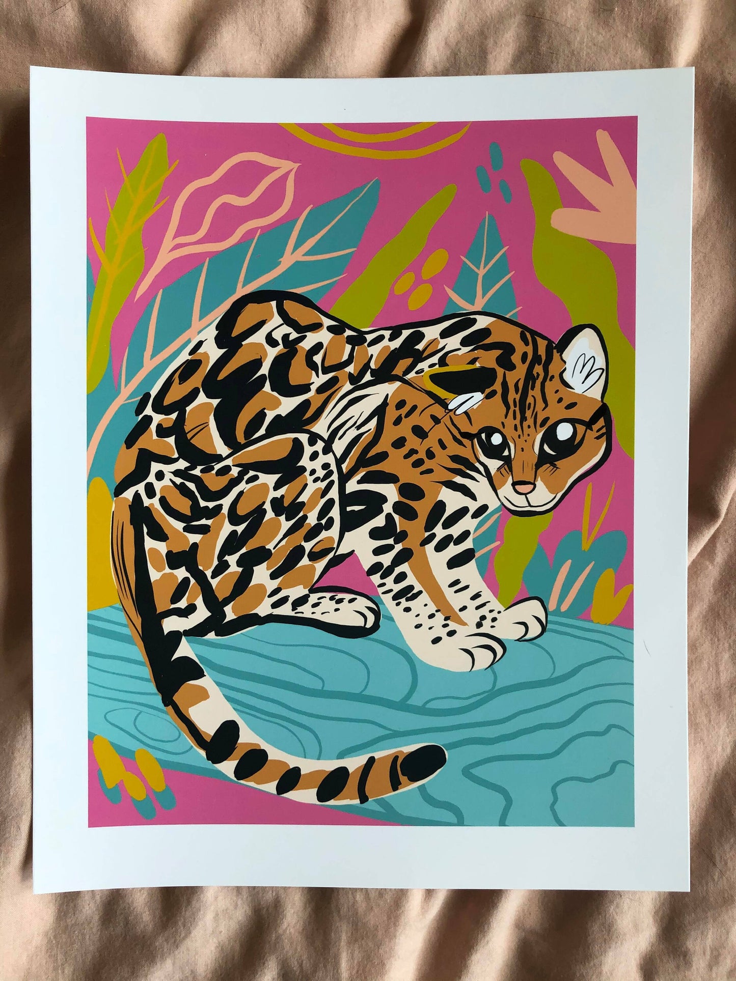 Big cat diaries 8x10 large prints