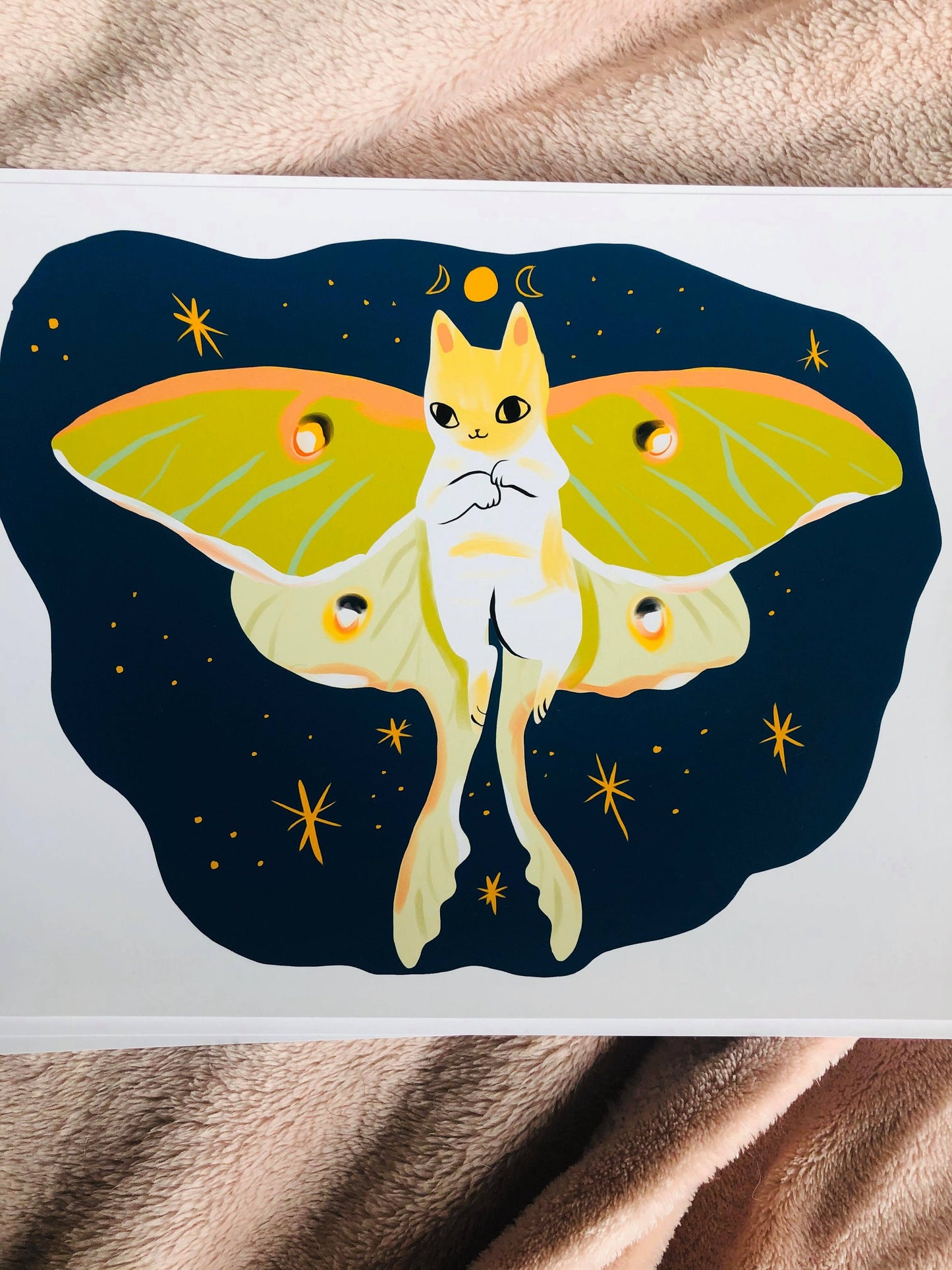 The moth cats vol 2. 8x10 size prints