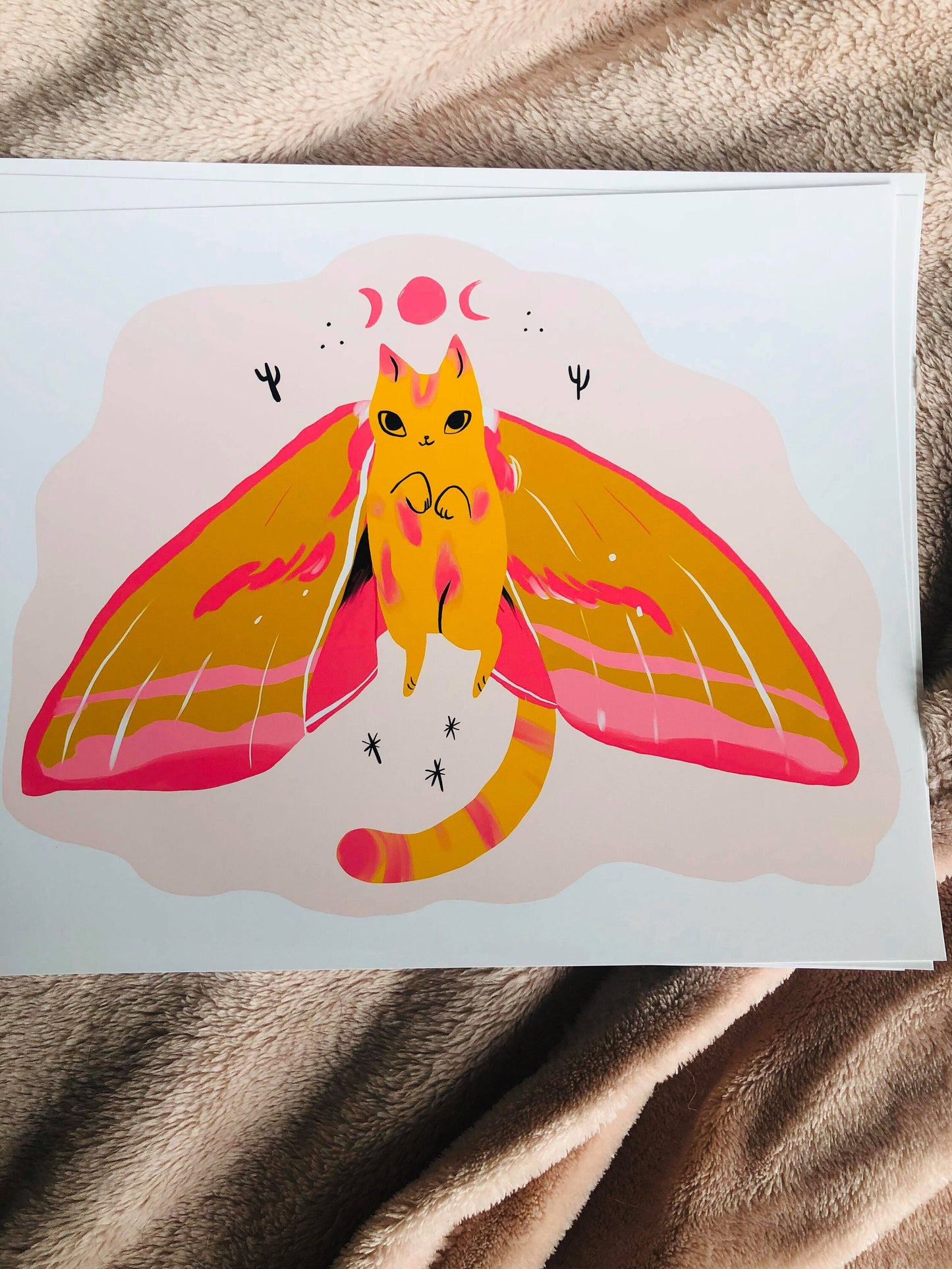 The moth cats vol 2. 8x10 size prints