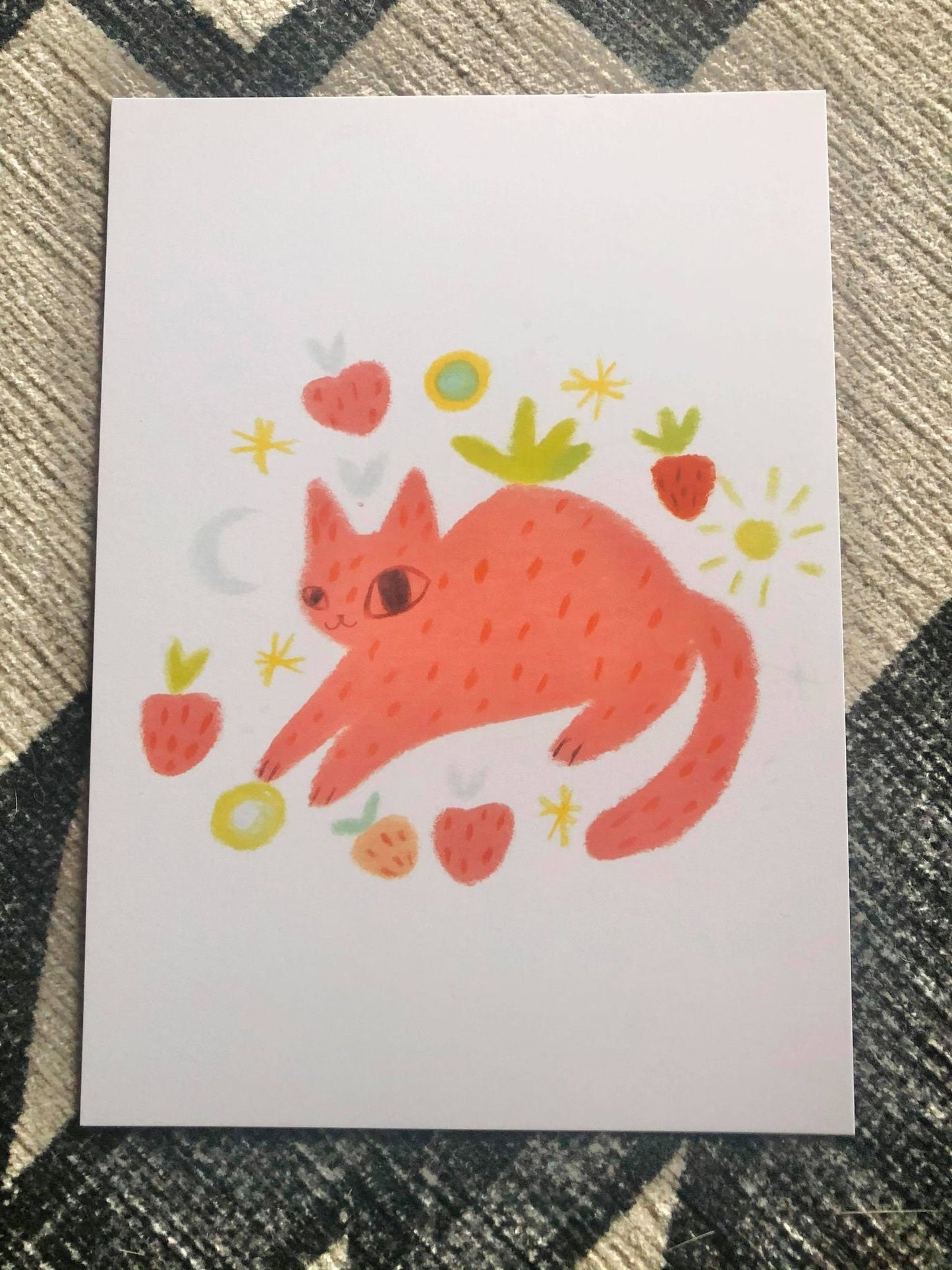 the march shop update cat mini print 5x7 series