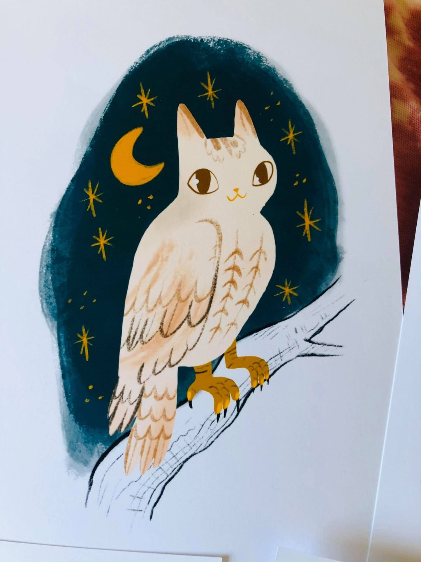 the cat bird 5x7 inch mini prints