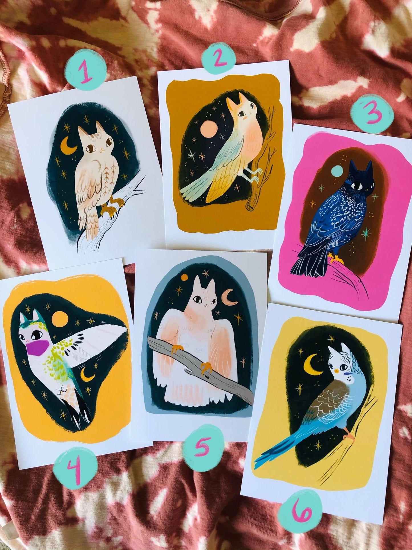 the cat bird 5x7 inch mini prints