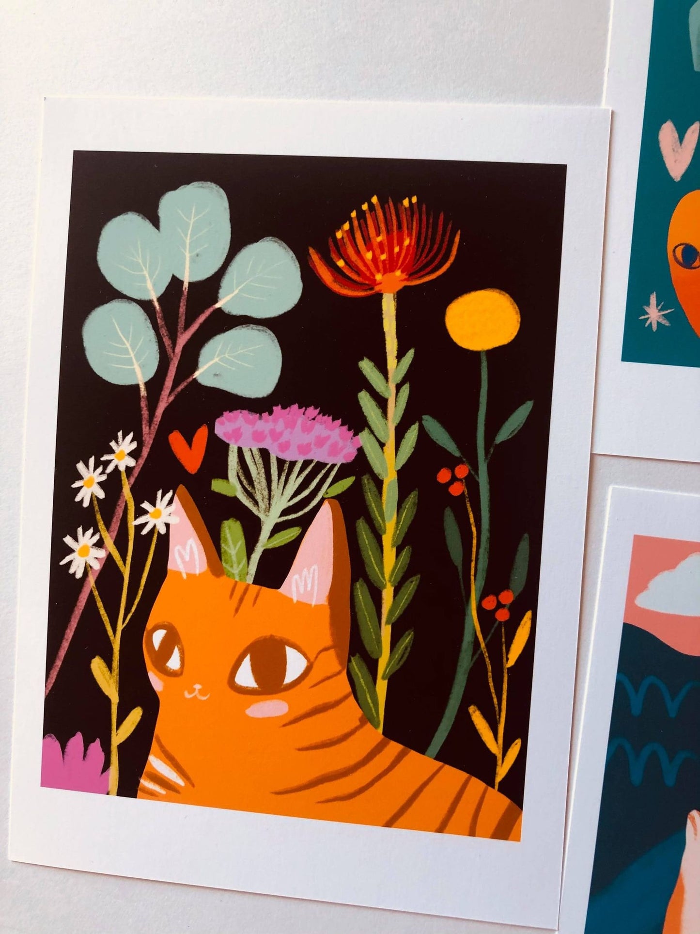the brightly colored 5x7 cat themed prints
